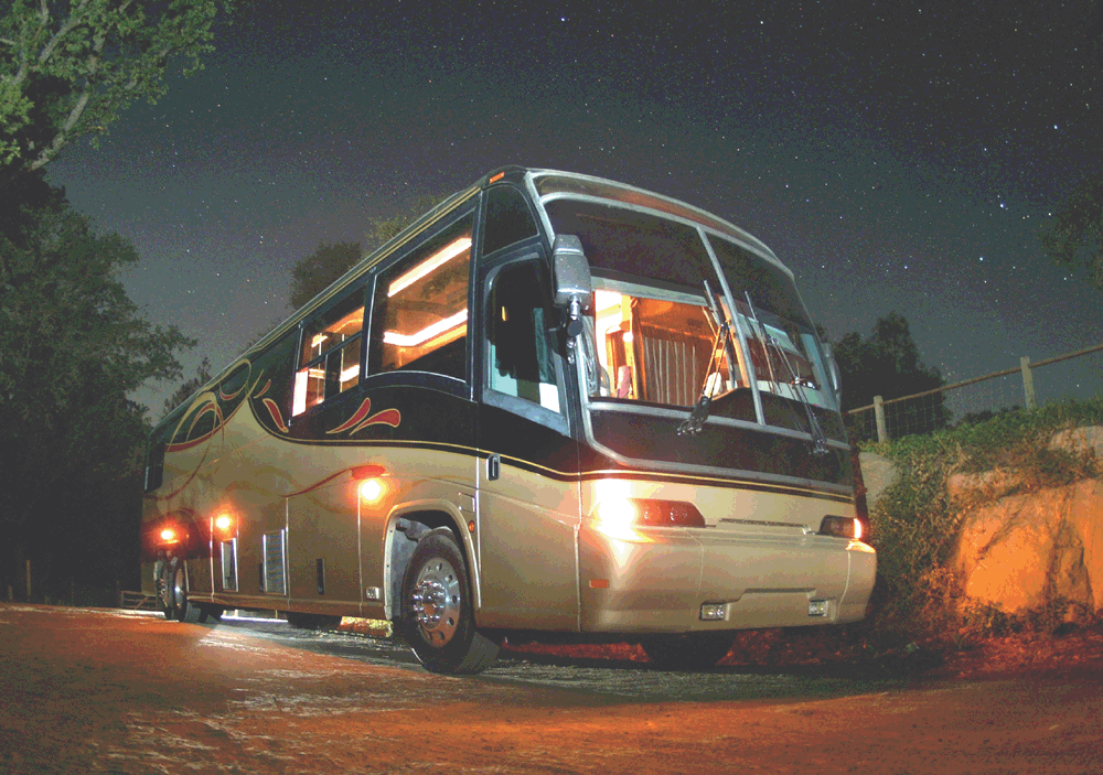 bus8-01.gif (309484 bytes)