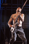 a-flea_small.gif (12463 bytes)
